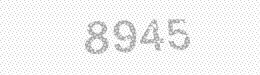 Visual security code — type the characters shown in the image
